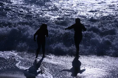 DSC_0490 (Large).JPG